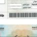 برقم الرخصة.. طريقة الاستعلام عن مخالفات المرور من الإنترنت - لايف نيوز