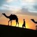 لماذا نحتفل بهجرة النبي فى شهر المحرم ؟ - لايف نيوز