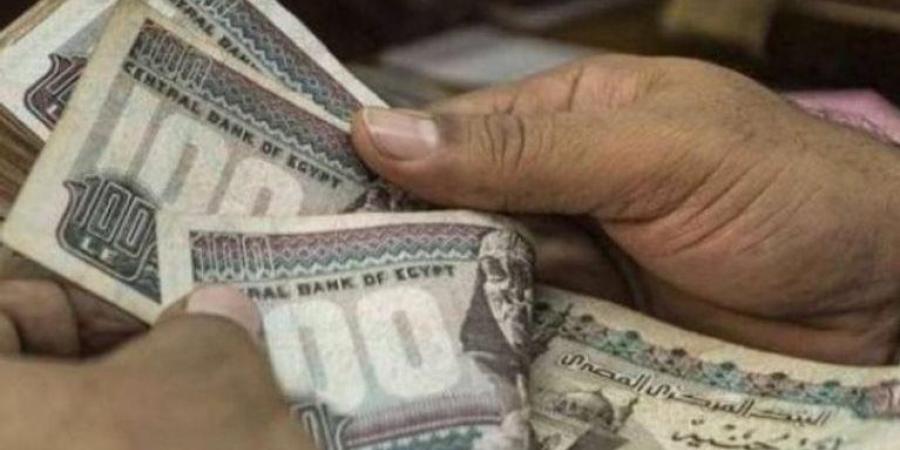 مكافأة نهاية الخدمة والمعاش.. احسب حقك بالقانون الجديد للقطاع الخاص - لايف نيوز