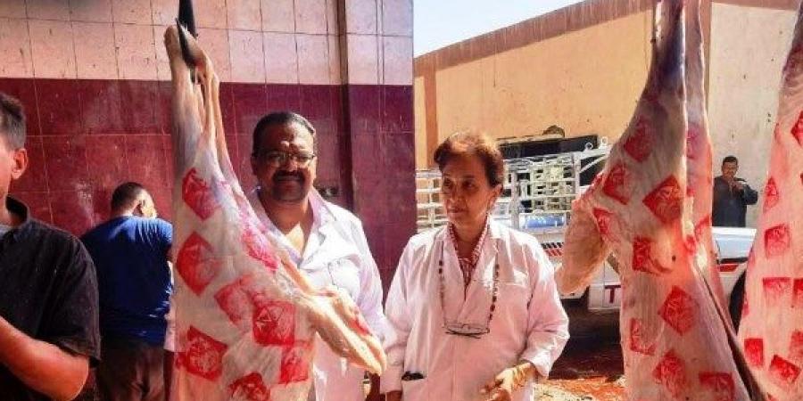 نحر 3169 رأس ماشية بإشراف بيطري خلال عيد الأضحى بأسوان - لايف نيوز