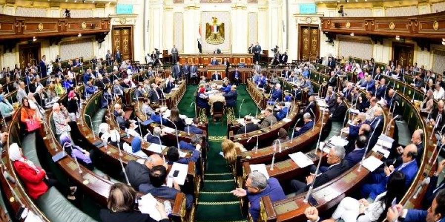 برلماني: مصر ترفض الفوضى في الحشود الشعبية وتتمسك بتنظيم دخول الوفود إلى غزة حمايةً لأمنها القومي - لايف نيوز