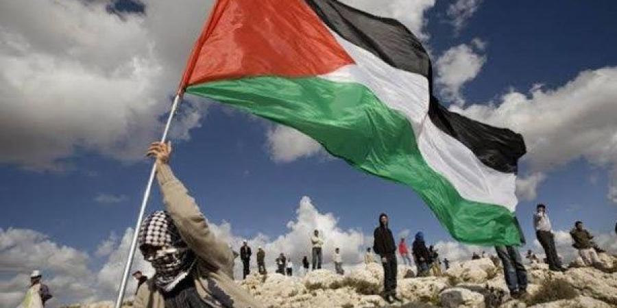 قيادى بالجبهة الوطنية: مصر الداعم الأول لفلسطين - لايف نيوز
