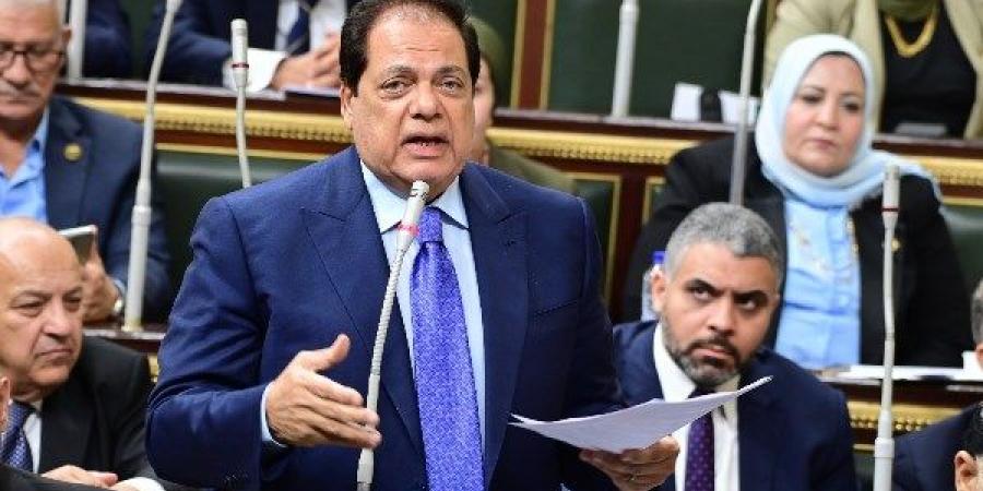 أبو العينين يشيد بكلمة رئيس النواب عن تطورات الأوضاع في المنطقة: ستكون مرجعا في رئاستنا للبرلمان الأورومتوسطي - لايف نيوز