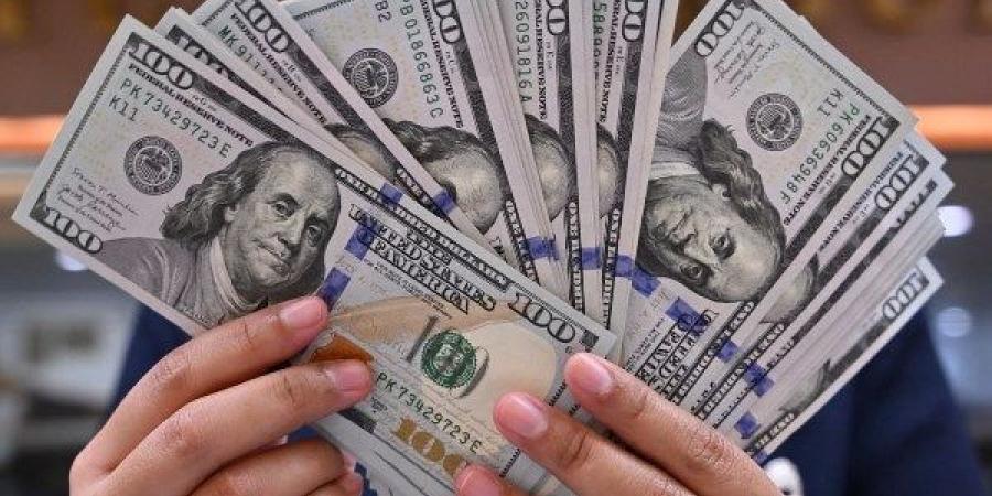 أسعار الدولار في البنوك المصرية اليوم الأحد - لايف نيوز