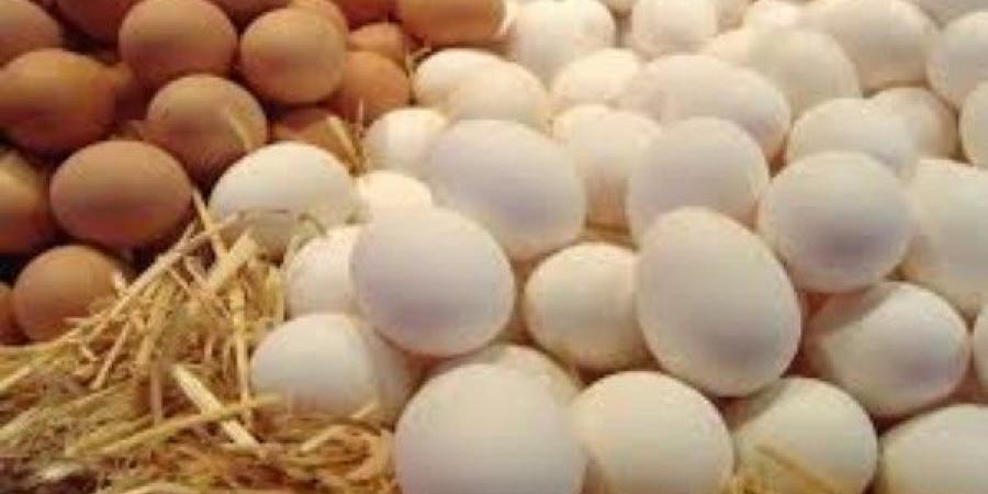 عقب تراجعه بقوة.. أسعار البيض في الأسواق اليوم الأحد 15-6-2025 - لايف نيوز