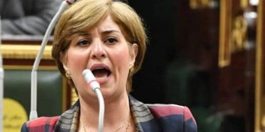 برلمانية: الشرق على فوهة بركان.. ووعي المصريين سلاح لا يُصدأ - لايف نيوز