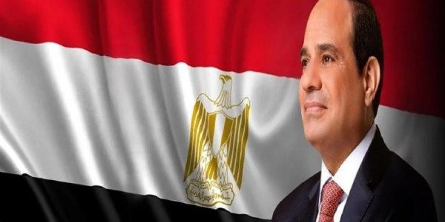 برلماني: "مصر معاكم" نموذج إنساني يُجسد رؤية الدولة في رعاية أبناء الأبطال - لايف نيوز