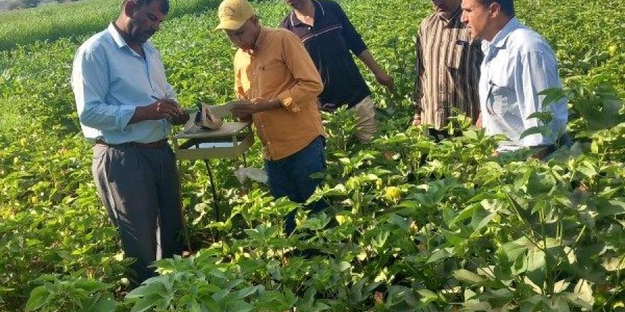 مكافحة الآفات تستهدف أكثر من 5.5 مليون فدان وزيارة أكثر من 655 منزل - لايف نيوز