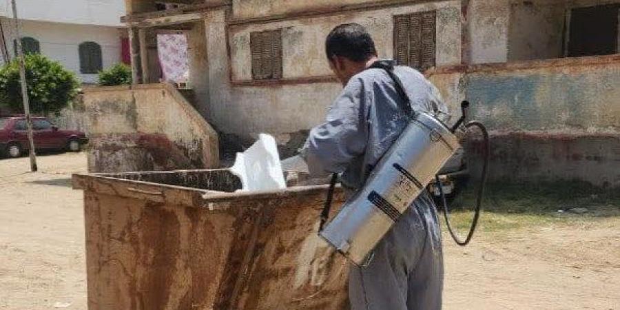 مكافحة نواقل الأمراض في مدينة رأس البر لحماية الصحة العامة - لايف نيوز