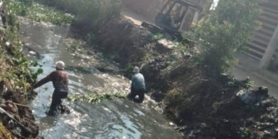 حملات لتطهير الترع والمصارف داخل قري دمياط - لايف نيوز