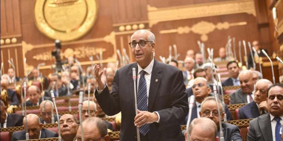 برلماني يدعو للتوسع في برامج تأهيل الطلاب والخريجين لسوق العمل - لايف نيوز