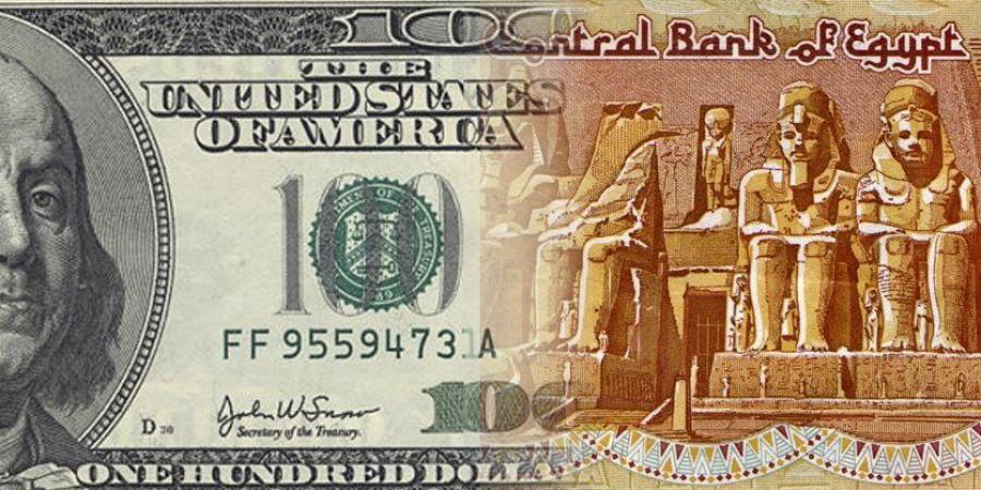 رسميا.. سعر الدولار يصعد إلى 51 جنيها في جميع البنوك - لايف نيوز