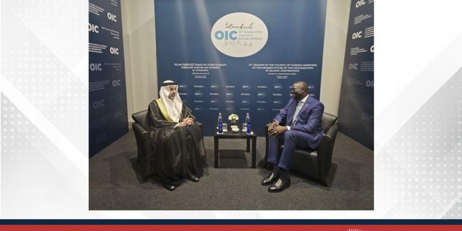 وكيل وزارة الخارجية للشؤون السياسية يجتمع مع رئيس البعثة الإقليمية للجنة الدولية للصليب الأحمر لدى دول مجلس التعاون لدول الخليج العربية - لايف نيوز