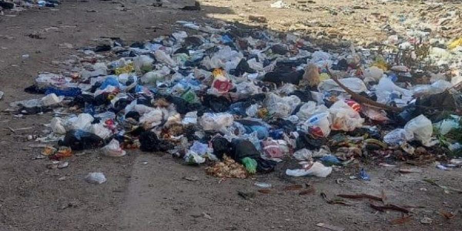3 ملايين جنيه غرامات.. بورسعيد تُحاسب شركة النظافة على التقصير وتستعد للإلغاء - لايف نيوز