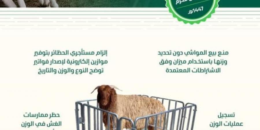 بدء بيع المواشي الحية بالوزن الخميس المقبل - لايف نيوز