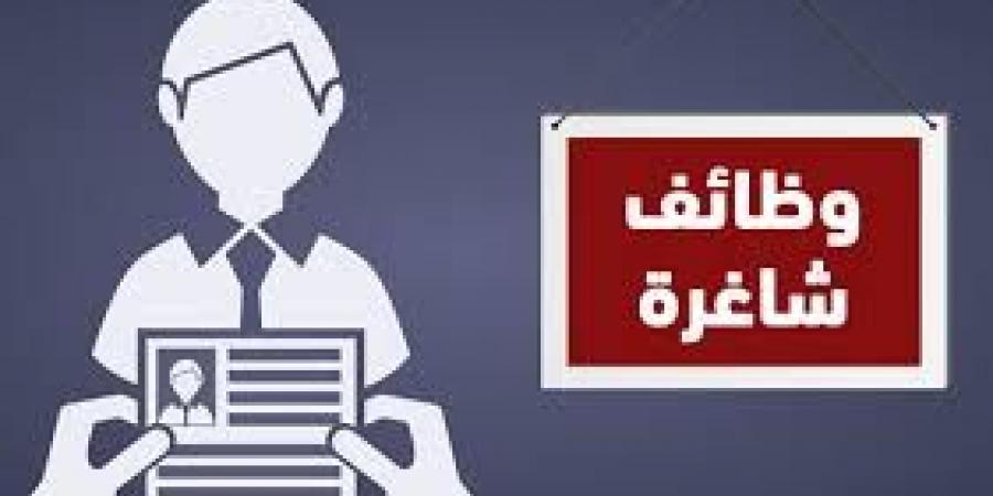 بنك مصر يعلن عن وظائف جديدة للشباب - لايف نيوز