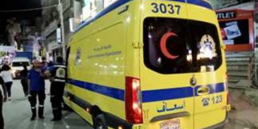 بالأسماء..  إصابة 11 شخصاً إثر تصادم ميكروباص وملاكي بزراعي ملوي في المنيا - لايف نيوز