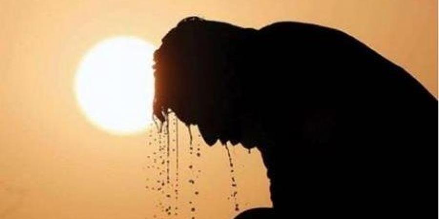 الأرصاد تكشف سبب ارتفاع نسب الرطوبة وتحذر من التعرض للشمس - لايف نيوز