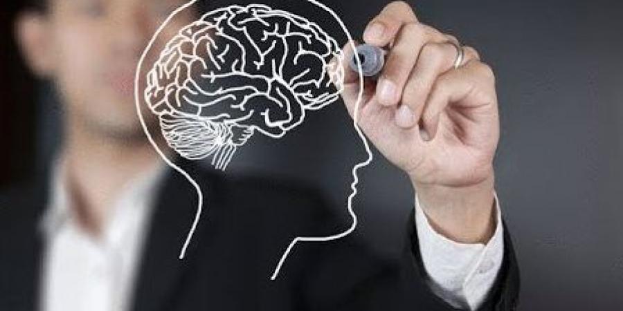 أنواع الصرع .. علامات لن تخطر ببالك تكشف الإصابة أغربها | السرحان - لايف نيوز