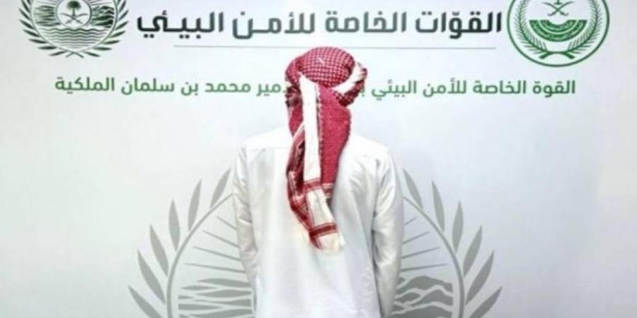 القبض على مخالف لنظام البيئة اصطاد وعلًا بريًا - لايف نيوز