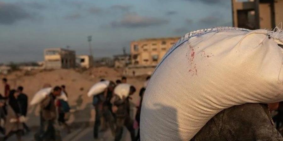 طحين أم سم؟.. سكان غزة يعثرون على مخدرات في مساعدات مصدرها أمريكا وإسرائيل - لايف نيوز