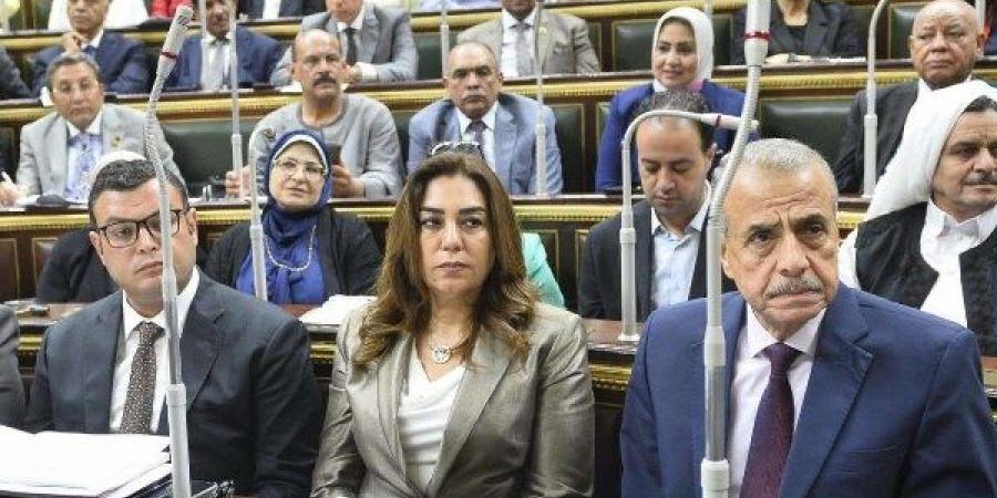 وزيرة التنمية المحلية: أراضٍ بالمحافظات لإقامة سكن بديل لمواطني الإيجار القديم - لايف نيوز