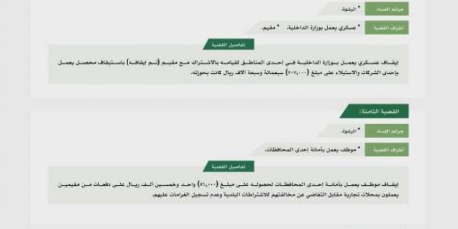 هيئة الرقابة ومكافحة الفساد تباشر عددًا من القضايا الجنائية - لايف نيوز