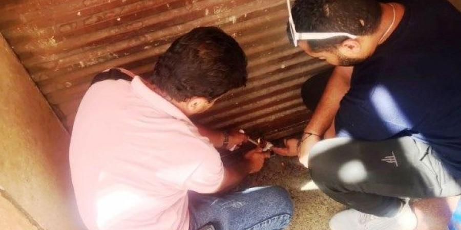 غلق وتشميع 169محل وكافيه لمواجهة الأوكار غير المرخصة بأسوان - لايف نيوز