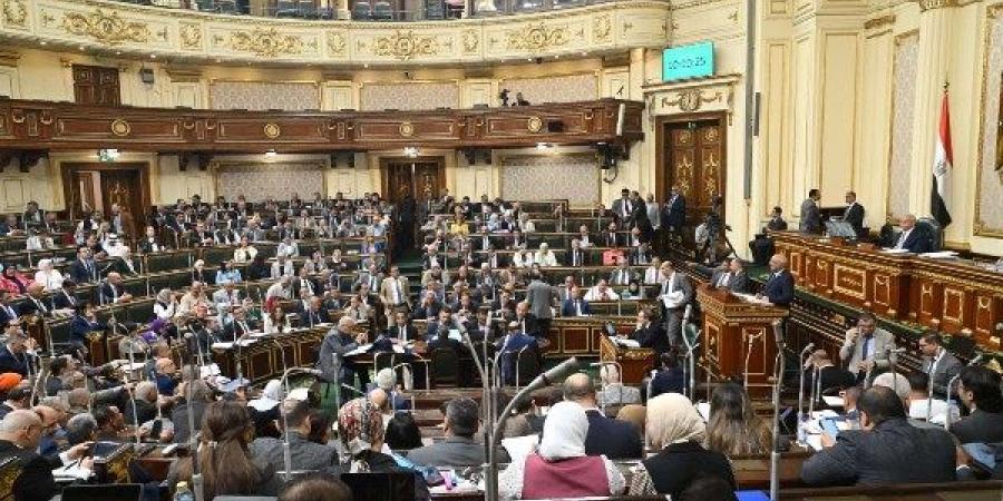 برلماني: الدولة مش هتطرد حد وهتوفر شقق في كومباوندات للمستأجرين - لايف نيوز