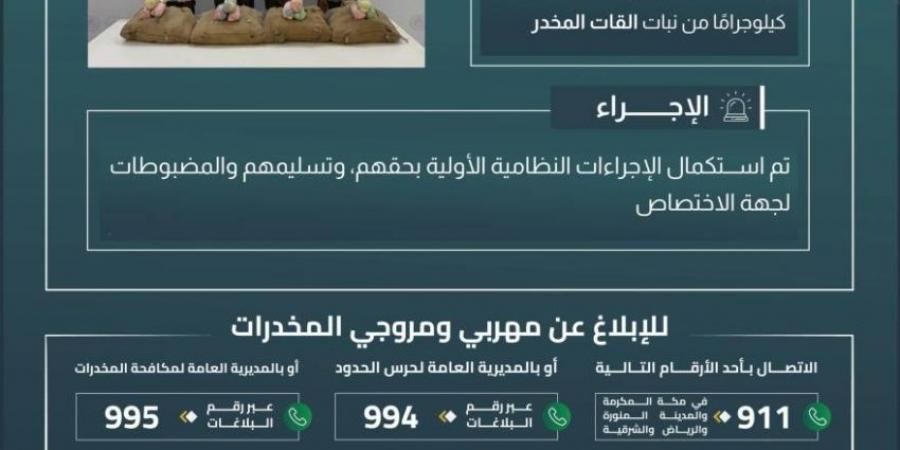 حرس الحدود بعسير يقبض على (4) مخالفين لتهريبهم (72) كيلوجرامًا من القات المخدر - لايف نيوز