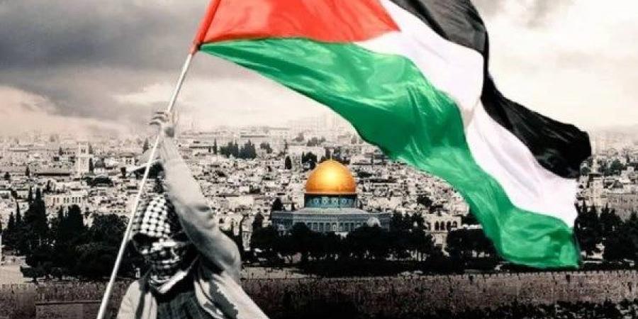 المركزي للإحصاء الفلسطيني: 157 ألف شهيد سقطوا منذ بدء النكبة - لايف نيوز