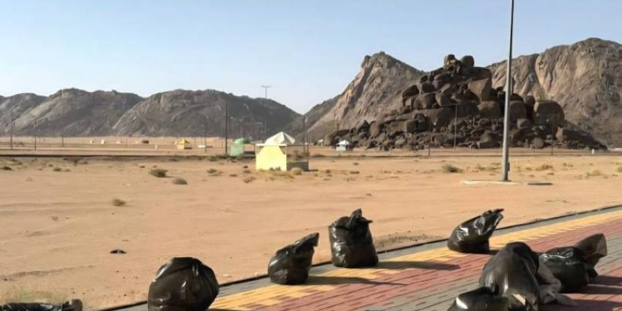 مكتب بيئة رنية ينظف المنتزه الشمالي لحماية البيئة - لايف نيوز