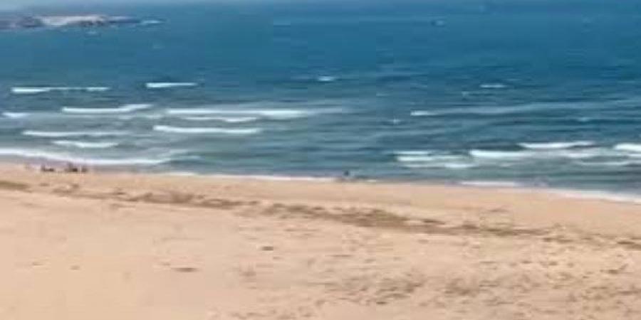 3 رايات للتعامل مع البحر وتجنب حدوث حالات غرق..رئيس لجنة تقييم معدل الأمان يوضح - لايف نيوز
