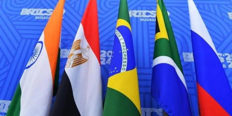 قيادي بـ مستقبل وطن: مشاركة مصر بقمة "بريكس" يعزز استقلالية القرار الاقتصادي - لايف نيوز