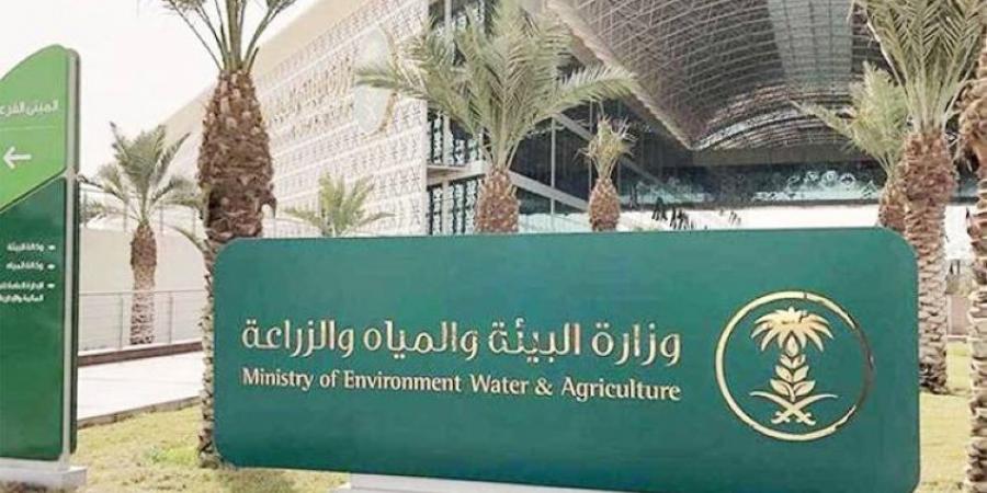 للمرة الأولى.. إدارة مزارع الماشية بإنترنت الأشياء - لايف نيوز