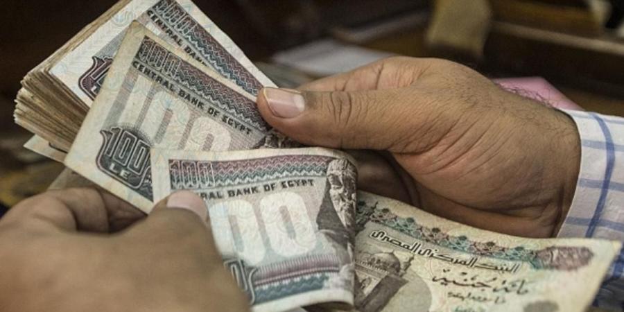 تنفيذا لتوجيهات الرئيس السيسي .. وزير العمل: 1000 جنيه زيادة للعمالة غير المنتظمة - لايف نيوز