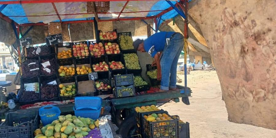 حملات للنظافة وإزالة الإشغالات بضواحي بورسعيد - لايف نيوز