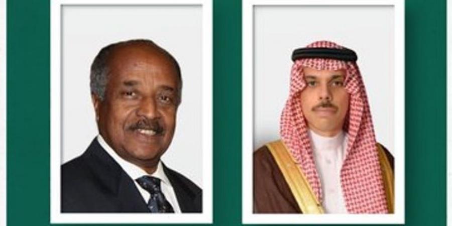 وزير الخارجية ونظيره الإريتري يستعرضان العلاقات الثنائية - لايف نيوز