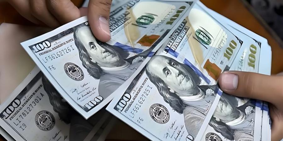 استقرار سعر الدولار مقابل الجنيه تزامنًا مع عطلة البنوك المصرية - لايف نيوز